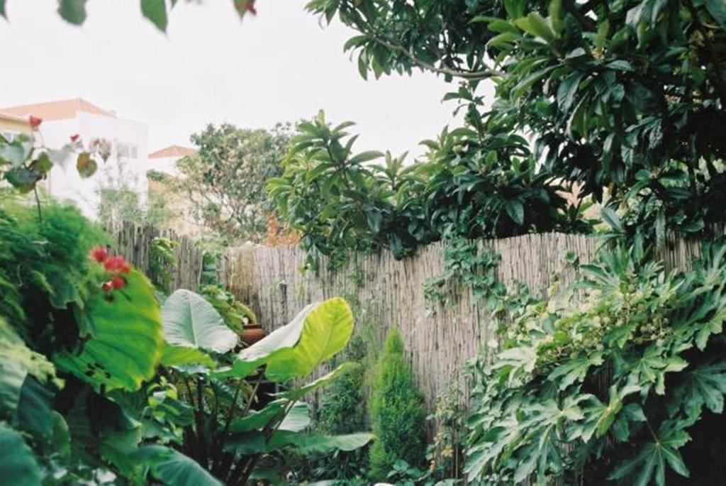 Apartment With Private Garden Apartment *